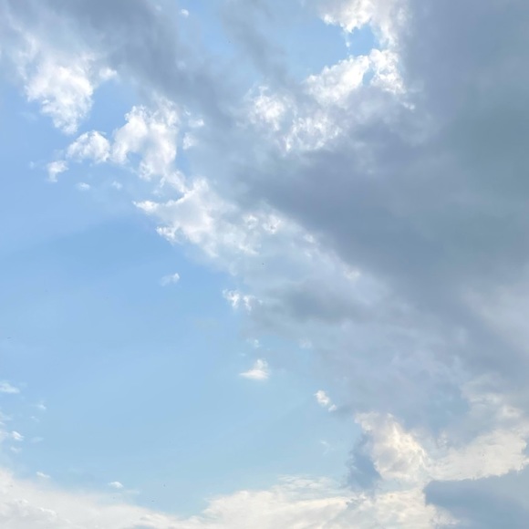 Meet your Posher, Sabrina - Picture 1 of 1